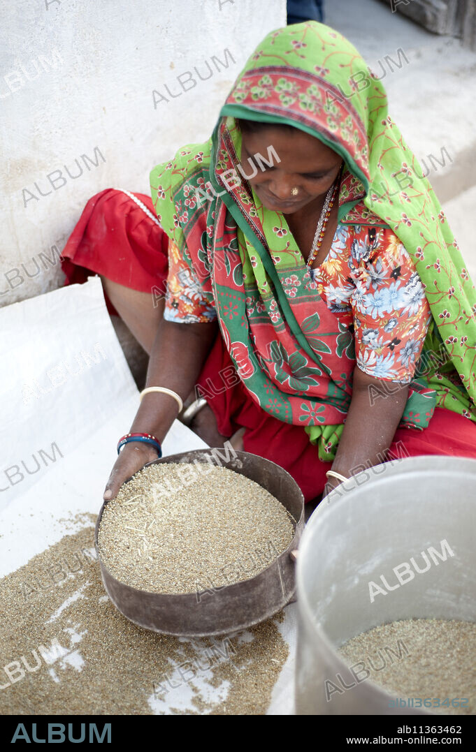 Young village woman sifting millet, Nirona village, Kachchh, Gujarat, India, Asia.