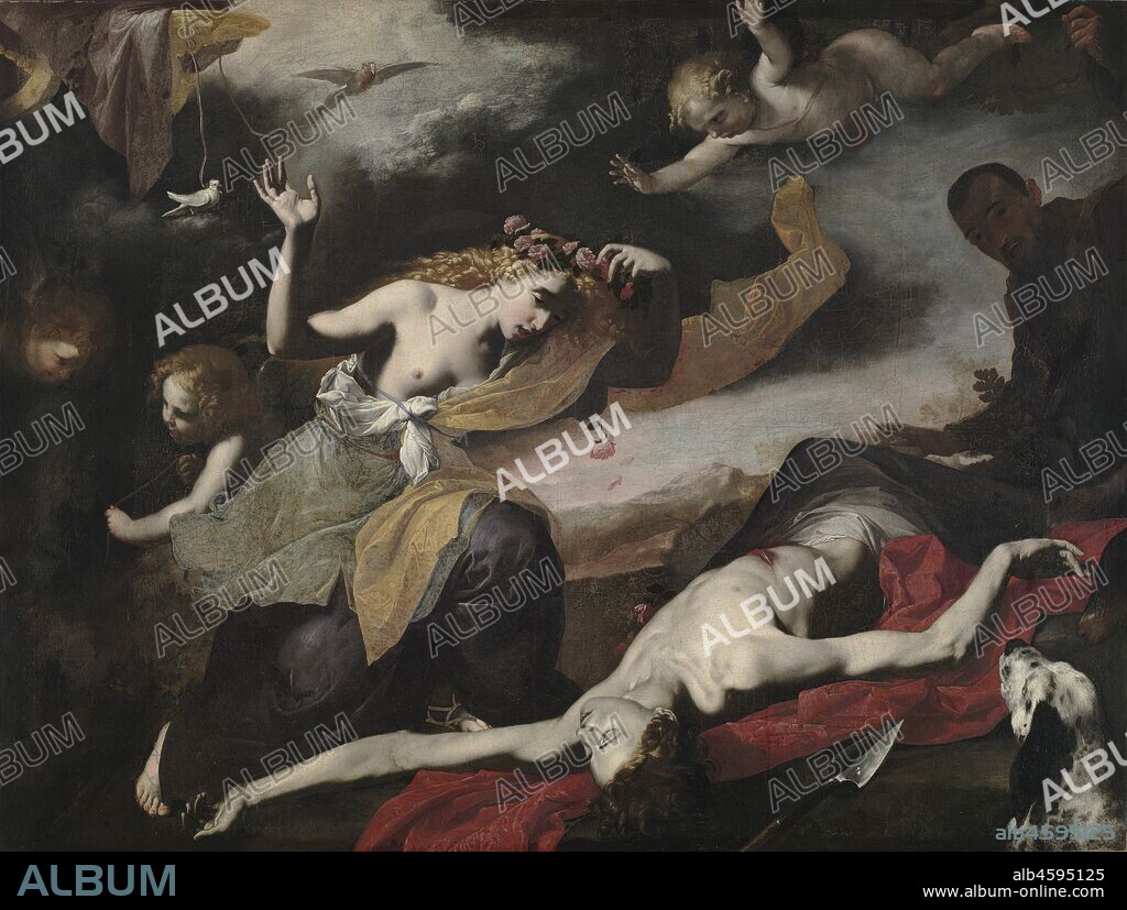 Venus Discovering the Dead Adonis, c. 1650. Venus, the goddess of love, urged her mortal lover Adonis to hunt only the easiest game. Yet he insisted on pursuing boar, which eventually gored him to death. In this scene, Venus discovers the young man robbed of his youth, yet the painting eternally preserves him in a state of perfection. This paradox corresponds to wordplay in Italian poetry from the 1600s, with which many artists sought visual parallels in their work. This painting derives from a 1623 poem by Giovanni Battista Marino. The painter remains unknown, although the sophisticated literary reference, dramatic use of light, and vivid use of colour demonstrate the artist?s awareness of trends converging in Naples in the mid 1600s.