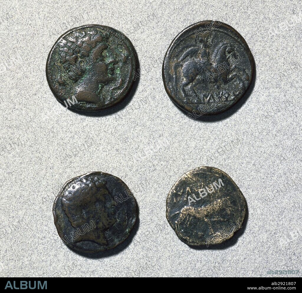 MONEDAS ROMANAS. Izquierda: anversos de AS romanos que presentan una CABEZA rodeada de DELFINES. Derecha: reversos de AS romanos que presentan un JINETE CON PALMA y CLAMIDE con LEYENDA en la parte inferior (superior) y LOBO CAMINANDO con LEYENDA en la parte superior (inferior). Todas son de bronce. Fechadas en el siglo I a. C. CECA DE ILTIRDA (LERIDA). Museo de Historia de Sabadell. Provincia de Barcelona. Cataluña.