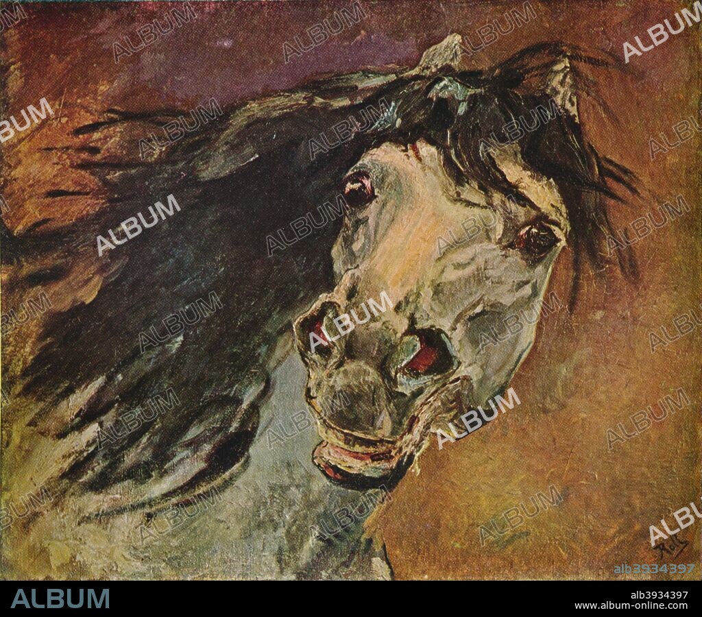 'Tete De Cheval Andalou', c1910. The Andalusian Horse Head. From The Studio Volume 50. [London Offices of the Studio, London, 1910].