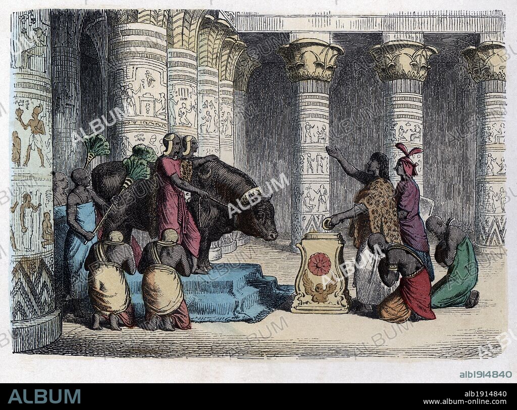 Historia Antigua. Egipto. Adoración del buey Apis. Grabado alemán de 1863.