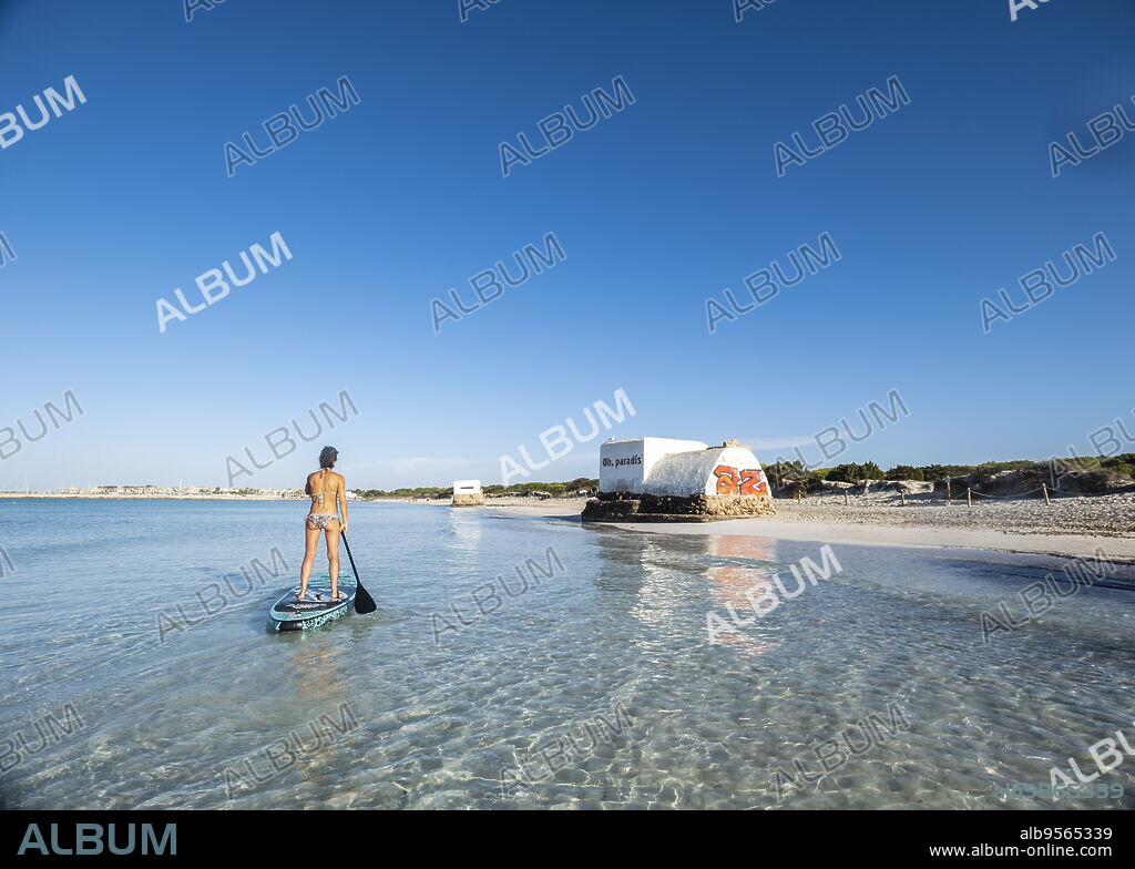 middle-aged woman practicing paddle surfing , Ses Covetes beach, Majorca, Balearic Islands, Spain.