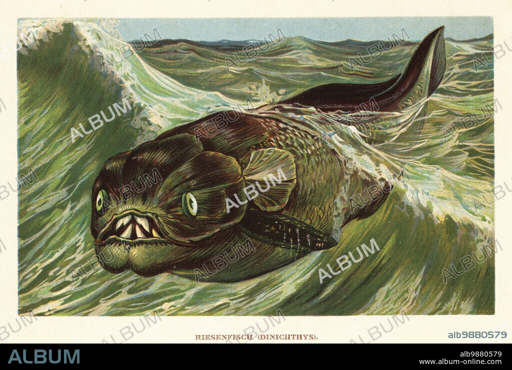 Dinichthys herzeri, extinct, giant, marine arthrodire placoderm from the Late Devonian. Riesenfisch, Dinichthys. Colour printed illustration by F. John from Wilhelm Bolsches Tiere der Urwelt (Animals of the Prehistoric World), Reichardt Cocoa company, Hamburg, 1908.