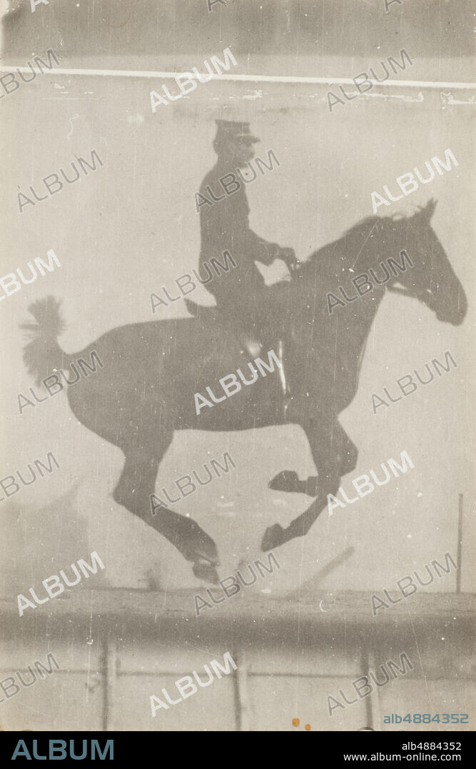 Jules Etienne Marey, French, 18301904, Horse and Rider (Cavalier et Cheval) #2, c.1888, Gelatin silver print, Overall: 7 1/16 x 4 5/8 in. (18 x 11.8 cm).