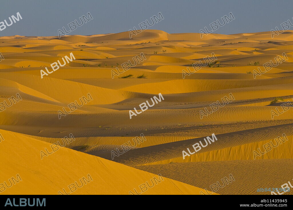 Sand dunes at sunset, near Chinguetti, Mauritania, Africa.