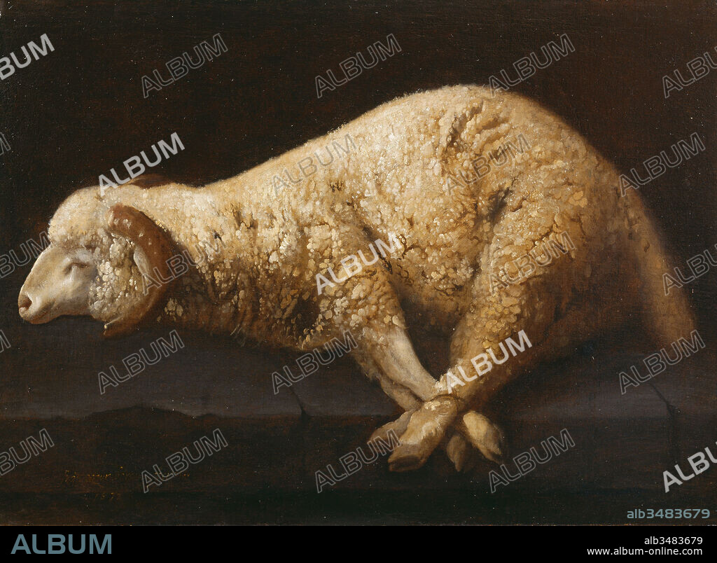 FRANCISCO DE ZURBARAN. Francisco de Zurbarán / "The Bound Lamb", 1632, Painting (oil on canvas), 61,3 x 83,2 cm.