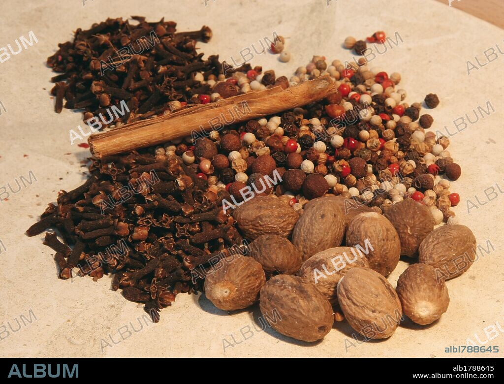 ESPECIAS originarias del Próximo Oriente: NUEZ MOSCADA, CLAVO, CANELA Y PIMIENTA NEGRA Y ROJA.