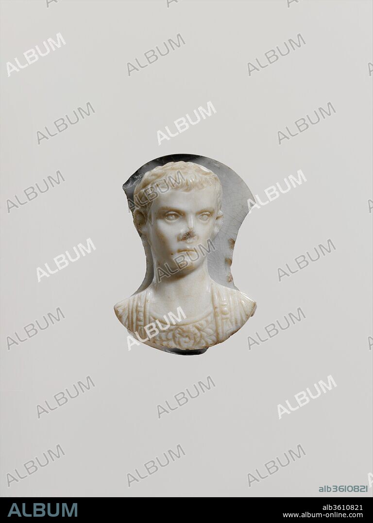 Onyx cameo of the emperor Gaius (Caligula). Culture: Roman. Dimensions: Overall: 1 11/16 x 1 1/4 x 9/16in. (4.3 x 3.1 x 1.5cm). Date: ca. A.D. 37-43.
Caligula is represented here as a victorious general--the triumphant "imperator," but in fact, he did not win any wars for Rome. His lack of military success and prowess alienated him from the army, and without its support, his rule became increasingly insecure. He was assassinated in Rome when aged only twenty-eight.