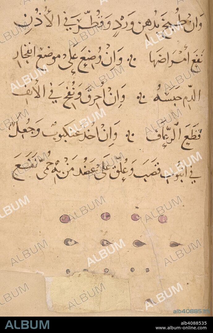 ARISTOTELES et IBN BAKHTISHU'. Four each of lice, ticks, mites, weevils. Kitab Na't al-hayawan (book of the characteristics of animals). Middle East, 13th century. A treatise on animals and the medical properties of the various parts of their bodies, compiled from works of Aristotle and Ibn Bakhtishu'. Source: Or. 2784 f.253r. Language: Arabic.
