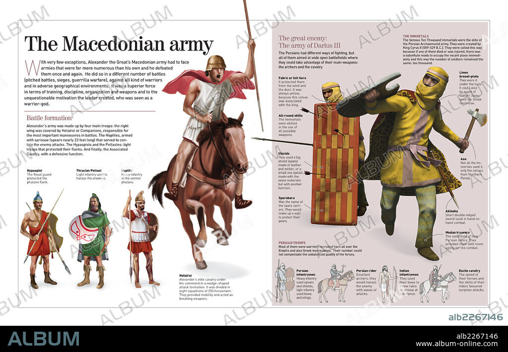 El ejército macedonio. Infografía acerca del ejército macedonio, comandado por Alejandro Magno, y de su mayor rival, el ejército de Darío III (persa).