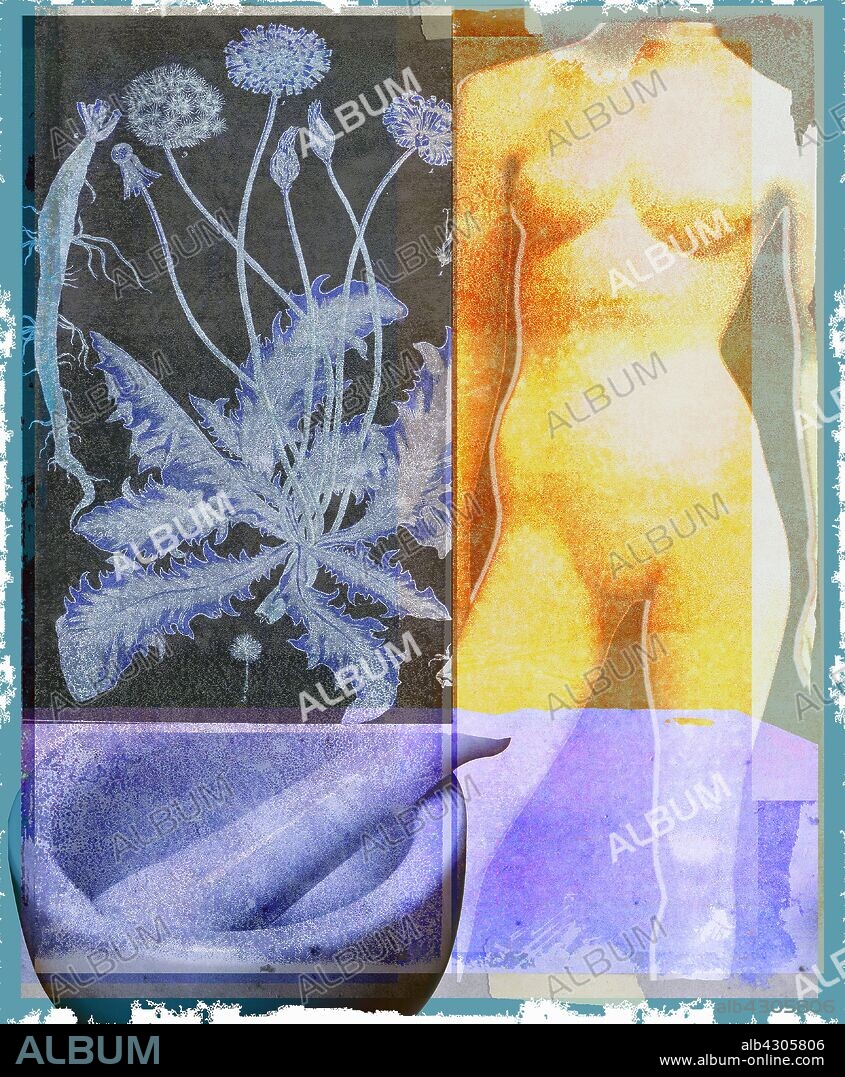 Collage of nude woman, plant, mortar and pestle.