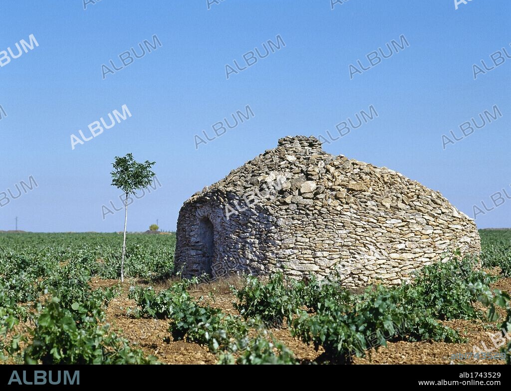 Vista de un CAMPO DE VIÑEDOS con un típico BOMBO manchego, especie de chozas abovedadas que antiguamente servían como refugio de pastores y labriegos, pero actualmente los pocos que quedan se usan, en el mejor de los casos, como almacén. TOMELLOSO (carretera de Tomelloso a Pedro Muñoz). Provincia de Ciudad Real. Castilla-La Mancha. España.