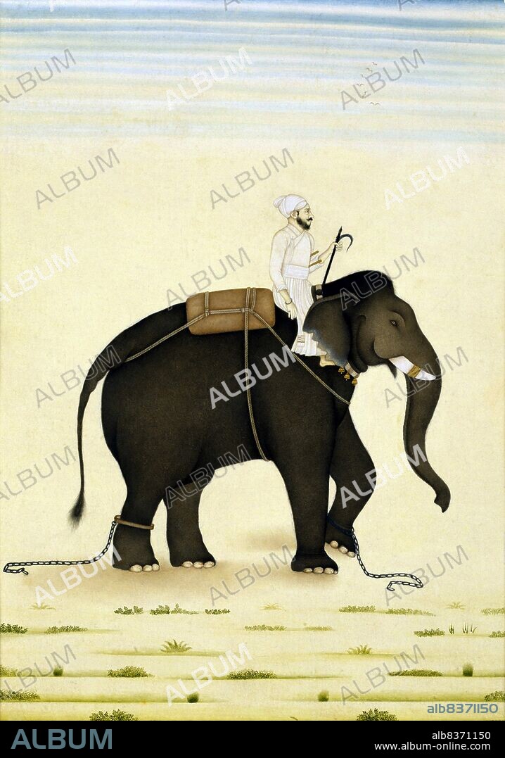 A mahout is an elephant rider, trainer, or keeper. Usually, a mahout starts as a boy in the family profession when he is assigned an elephant early in its life. Mahout and elephant remain bonded to each other throughout their lives.