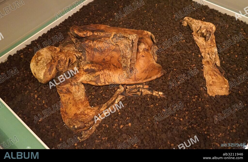 The Lindow Man is the preserved bog body of a man discovered in a peat bog at Lindow Moss near Wilmslow in Cheshire, North West England.