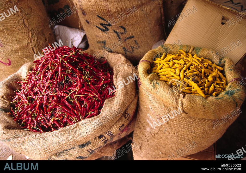 Guindillas picantes y Curcuma , Agra, Uttar Pradesh,India.