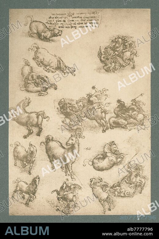 Leonardo da Vinci; 1452-1519. "Tierstudien". Faksimile des Originals "Studienblatt mit Pferden, einer Katze und einem Drachenkampf", um 1517/18 (Feder und Tinter über schwarzer Kreide, 298 x 212 mm. Windsor Castle, Royal Library, RL 12331 r, RCIN 912331). Reproduktion im Kohledruckverfahren nach Fotografie der Photographischen Kunstanstalt Adolphe Braun (Adolphe Braun, 1812-1877, unter Mitarbeit von Charles Braun, 1815-1872, Henri Braun, 1837-1876, und Gaston Braun, 1845-1928). Aus der Mappe: Handzeichnungen von Leonardo da Vinci. Reproduziert und herausgegeben von Braun und Cie., Paris, Dornach (Elsaß), London und New York, o. J., Erster Teil, 60 Handzeichnungen auf 40 Tafeln in einer Mappe vereinigt, Nr. 40. Privatsammlung.