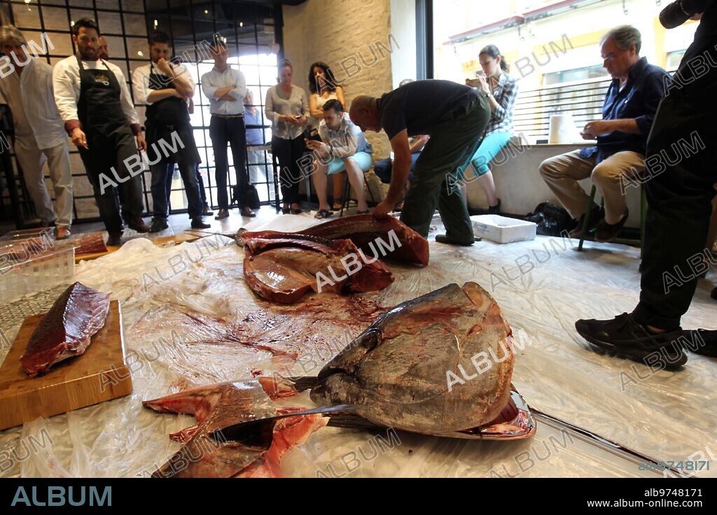 Sevilla, 11/06/2015. Ronque y despiece de un atún rojo de la almadraba de Barbate de 200 kilos para el restaurante La Pepona. Foto: Raúl Doblado ARCHSEV.