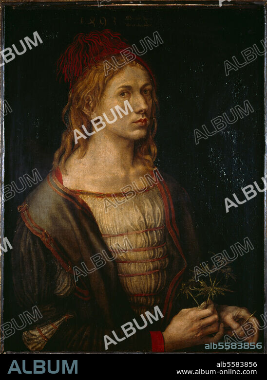ALBRECHT DüRER. Dürer, Albrecht; Maler u. Graphiker. Nürnberg 21.5.1471 - ebd. 6.4.1528. "Selbstbildnis", 1493. (In der Hand ein Eryngium = Mannestreu; daher als Brautwerbungsgabe um Agnes Frey gedeutet). Bez.: My sach die gat / als oben schtat". Pergament, auf Leinwand übertragen, 56,5 × 44,5 cm. R.F. 2382. Paris, Musée du Louvre.
