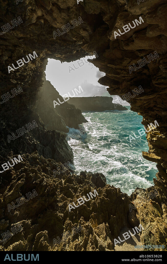 Entrance to the North Point Caves, Barbados. The Animal Flower Cave has a coral floor which is estimated to be about 400,000 to 500,000 years old, whereas the younger coral section above the main floor is about 126,000 years old. This dating was carried out by the German Geological Institute. The swimming pool, as the guides call it, is in a chamber all by itself. The totally transparent and absolutely still water does not reveal its depth but looks deceptively shallow. The smooth floor of the cave worn down by the water and the rubbing action of the coral rocks over time has an undulating formation and the light lends a magical quality to this chamber. At certain times of the year and in bad weather the caverns become filled with water and the entrance.
