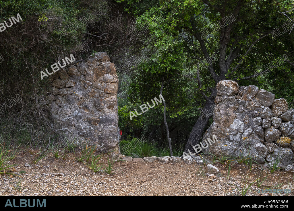 camino de Son Poquet al Coll Dets Asesl, Fita del Ram, Esporles, Paraje natural de la Serra de Tramuntana, Mallorca, balearic islands, Spain.
