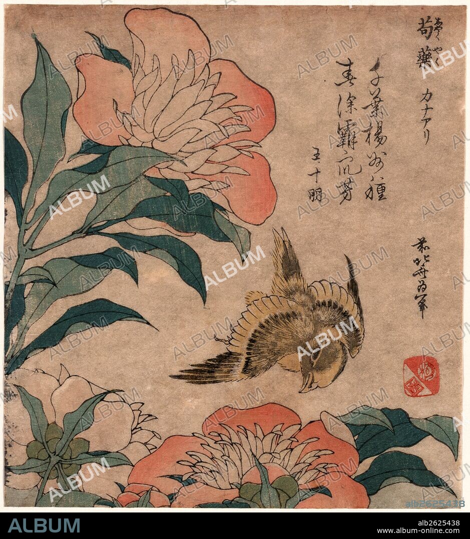 Shakuyaku kana ari, Peony and canary., Katsushika, Hokusai, 1760-1849, artist, [1833 or 1834], 1 print : woodcut, color ; 19.2 x 17.4 cm.