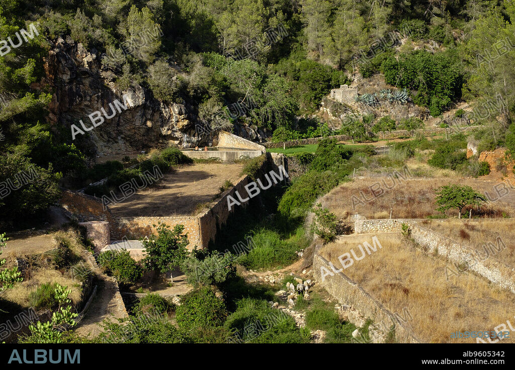 huertos en Broll de Buscastell, San Antonio de portmany,Ibiza, balearic islands, Spain.