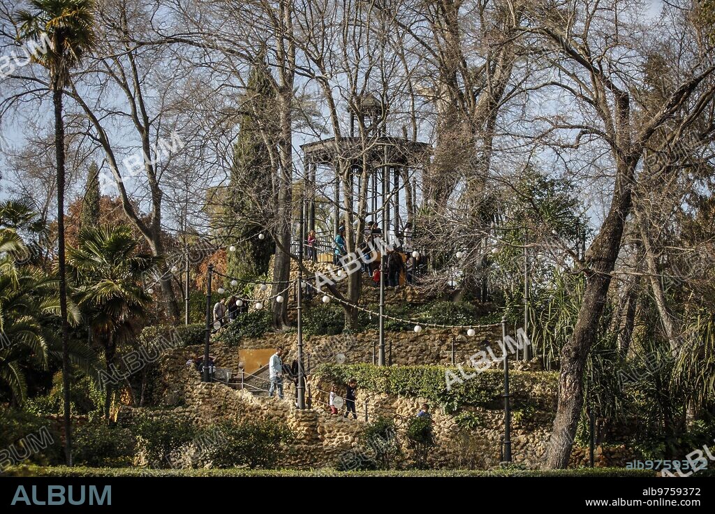 Sevilla, 02/03/2019. El parque de María Luisa. En la Imagen, el monte Gurugú. Foto: Raúl doblado Archsev.