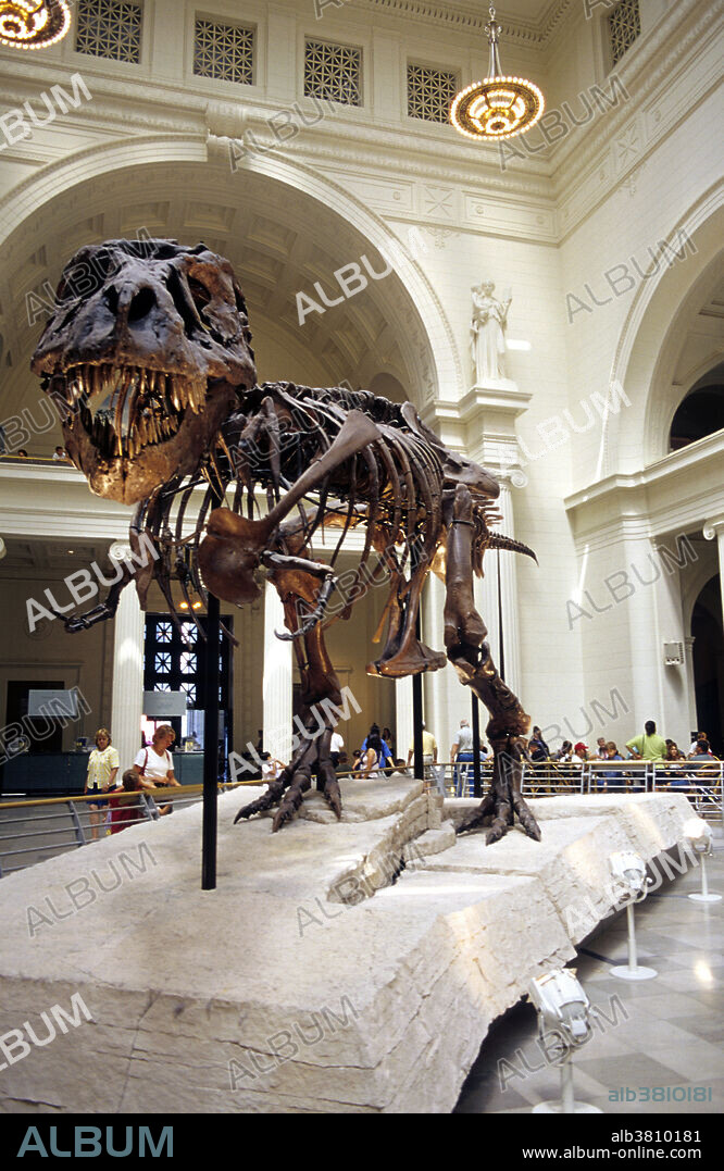 T-Rex Sue at the Field Museum in Chicago, Illinois.