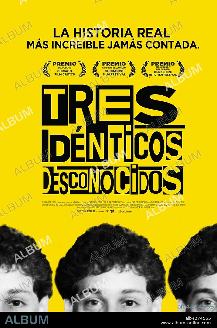 Poster de TRES IDENTICOS DESCONOCIDOS, 2018 (THREE IDENTICAL STRANGERS), dirigida por TIM WARDLE. Copyright RAW.