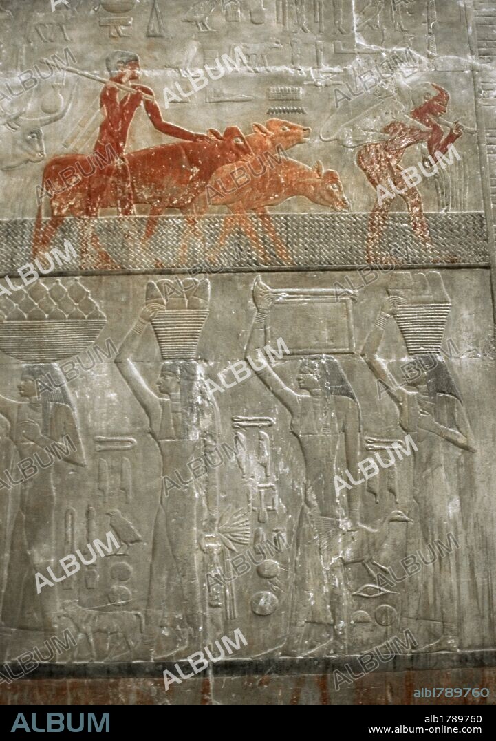 ARTE EGIPCIO. EGIPTO. Relieves policromados del interior de la MASTABA DE TI. Importante personaje de la corte de finales V DINASTIA. IMPERIO ANTIGUO. Escenas de GANADERIA y de ESCLAVAS PORTADORAS DE PRESENTES. NECROPOLIS DE SAKKARA.