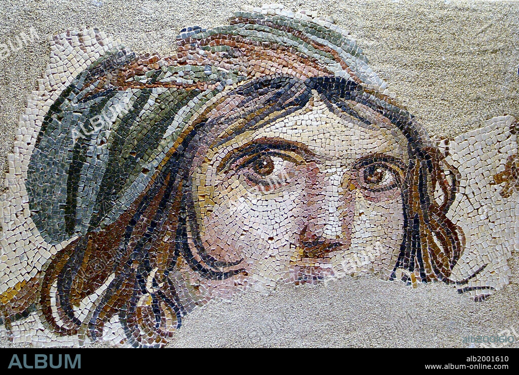 This mosaic was found in the dining room of the House of the Gypsy Girl, dating from the Roman period. The figure became the symbol of Zeugma because of the mysterious look she had in her eyes. When it could not be identified it got named "Gypsy" because of the woman's resemblance with Gypsies. But some sources draw attention to the wine in the mosaic and claim that she is a Maenad (female worshipper of Dionysus).