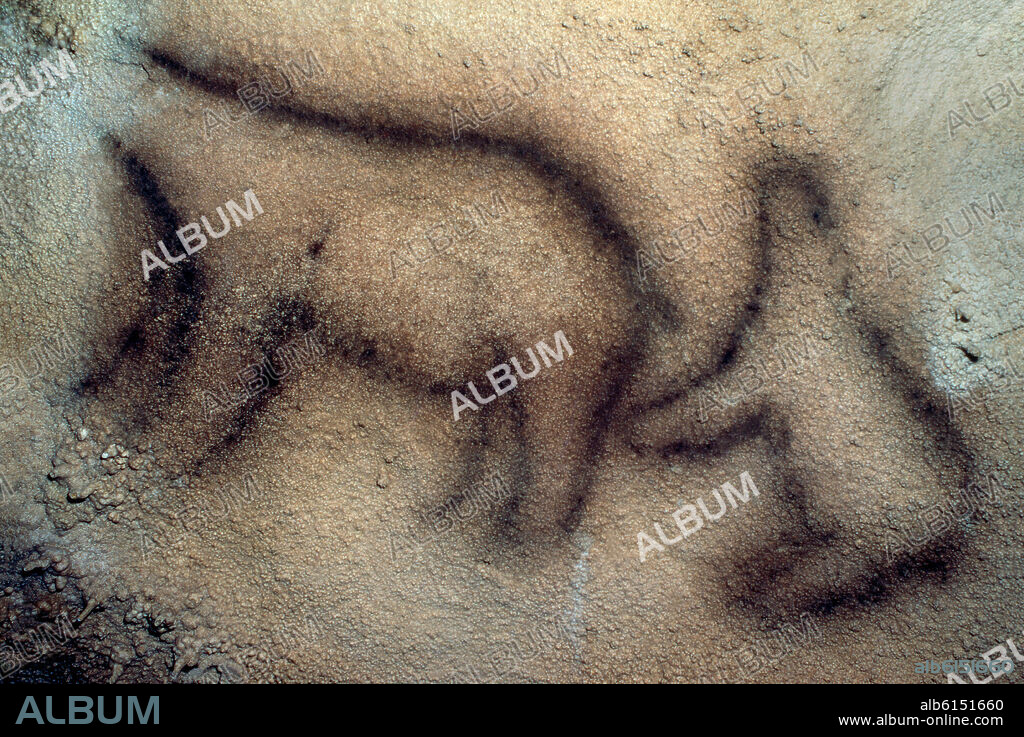 INTERIOR- PINTURAS RUPESTRES- OSOS PARDOS O DE LAS CAVERNAS DE LA CUEVA DE EKAIN - PALEOLITICO SUPERIOR - 13500-8500 AC.