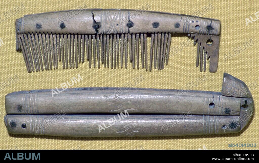 Viking period: Comb and Comb-Case made form Deer Antler and Bone, from the Yorkshire Museum, York.
