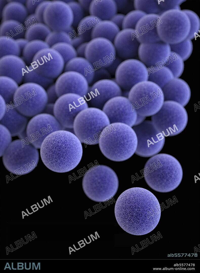 3D illustration of a group of methicillin-resistant, Staphylococcus aureus (MRSA) bacteria, which are arranged in a cluster. This artistic recreation is based upon scanning electron microscopic (SEM) imagery.