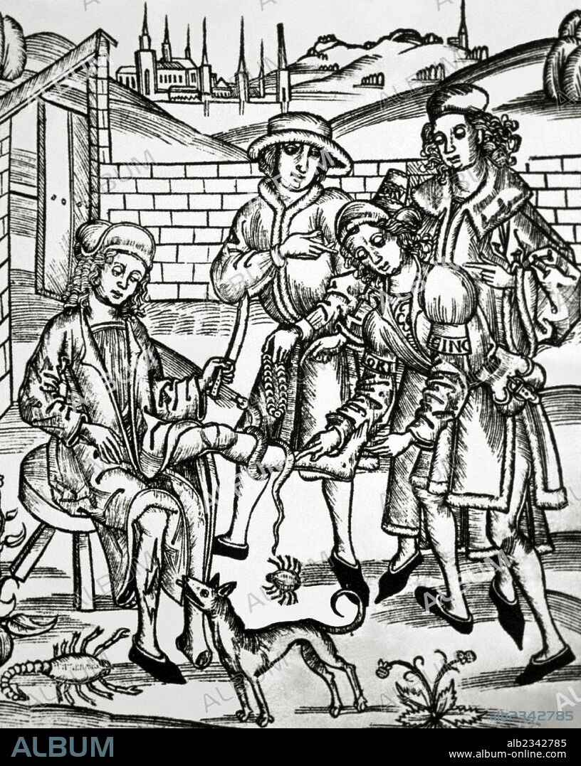 HIERONYMUS BRUNSCHWIG. HISTORIA DE LA MEDICINA. EDAD MODERNA. "LA CURA PRESTADA A UN HOMBRE, DEBIDO A LAS HERIDAS PRODUCIDAS POR ANIMALES PELIGROSOS, UN PERRO RABIOSO, UN ESCORPION Y UNA SERPIENTE". Xilografía de la obra "DIES IST DAS BUCH DER CHIRURGIA" (siglo XV) .