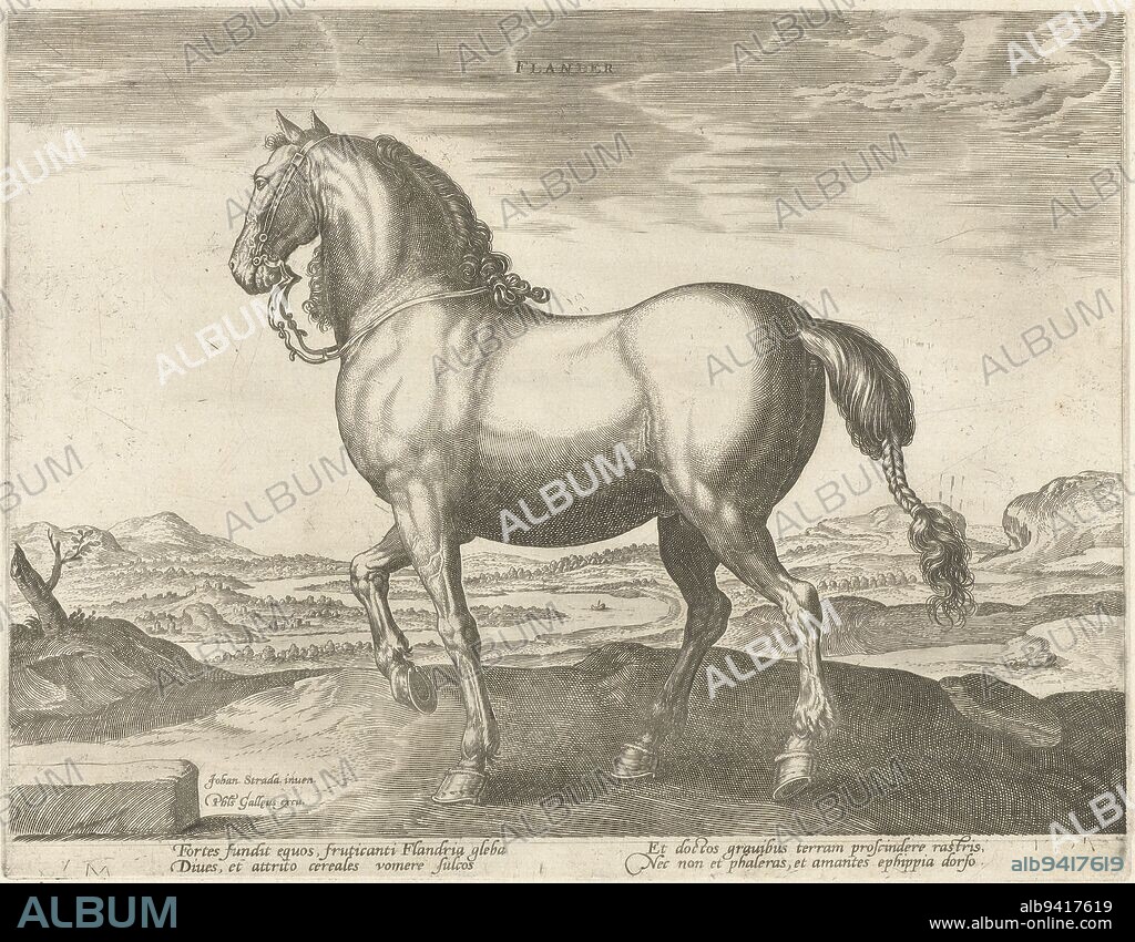 A Flemish horse, in profile The print has a Latin caption and is part of the fourth volume of a 39-part series on the horse breeds from royal stables of Don Juan of Austria, Horse from Flanders Flander Horse breeds from the royal stables of Don Juan of Austria Equile Ioannis Austriaci Caroli , print maker: Hendrick Goltzius, (possibly), print maker: Hans Collaert (I), (possibly), Jan van der Straet, (mentioned on object), print maker: Haarlem, print maker: Antwerp, Florence, publisher: Antwerp, c. 1578 - c. 1582, paper, engraving, w 267 mm × h 206 mm.