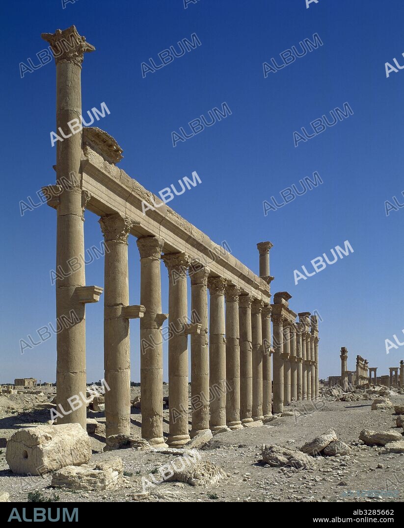 Syria. Palmyra city. The Great Colonnade. Roman Empire ruins. Tadmur, Homs. Photo before Syrian Civil War.