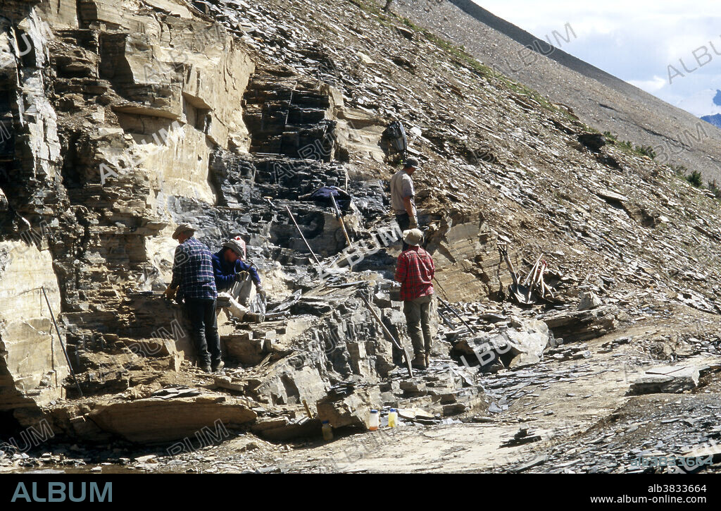 The excavation site at Burgess shale, a black shale fossil bed which has produced extremely well-preserved, diverse and unusual fossils. It was named after the nearby Mount Burgess in the Canadian Rockies.