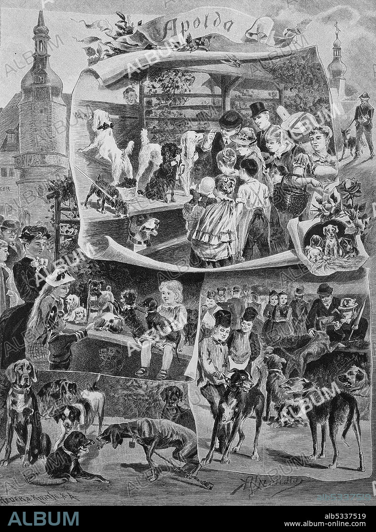 Dog market in Apolda, exhibitions approximately around house dogs and associated markets, Thuringia, Germany, 1887  /  Hundemarkt in Apolda, Ausstellungen rund um Haushunde und damit verbundene Märkte, Thüringen, Deutschland, 1887, Historisch, historical, digital improved reproduction of an original from the 19th century / digitale Reproduktion einer Originalvorlage aus dem 19. Jahrhundert,.
