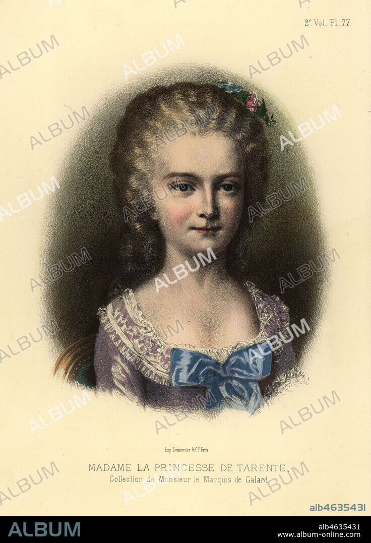 Portrait of Louise-Emmanuelle de Chatillon, lady in waiting to Marie Antoinette. Madame la Princesse de Tarente. Collection de Mr. le Marquis de Galard. Hand-coloured lithograph from Fashions and Customs of Marie Antoinette and her Times, by Le Comte de Reiset, Paris, 1885. The journal of Madame Eloffe, dressmaker and linen-merchant to the Queen and ladies of the court.
