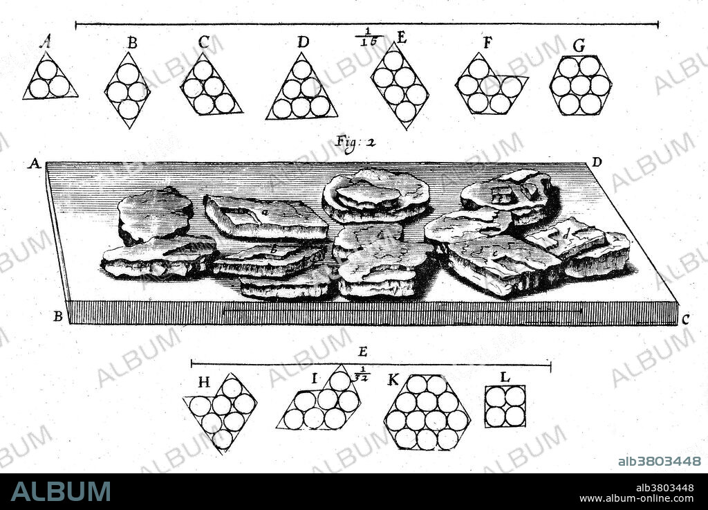 Gravel in urine drawn by Robert Hooke, 1665. Hooke (1635-1703) was curator of experiments at the Royal Microscopical Society of London, which was founded in 1660. He used a compound microscope to view a wide range of specimens, then drew and published the results of his remarkably detailed observations. Some of the illustrations in Micrographia were supposedly done by Christopher Wren, the architect. Hooke is best remembered for his discovery of the fundamental unit of life, the cell, based on his observations of a section of cork.