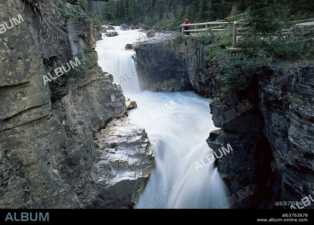 The fast-flowing Tokumm Creek swollen by summer snowmelt, Marble Canyon, Kootenay National Park, UNESCO World Heritage Site, British Columbia (B.C.), Canada, North America.
