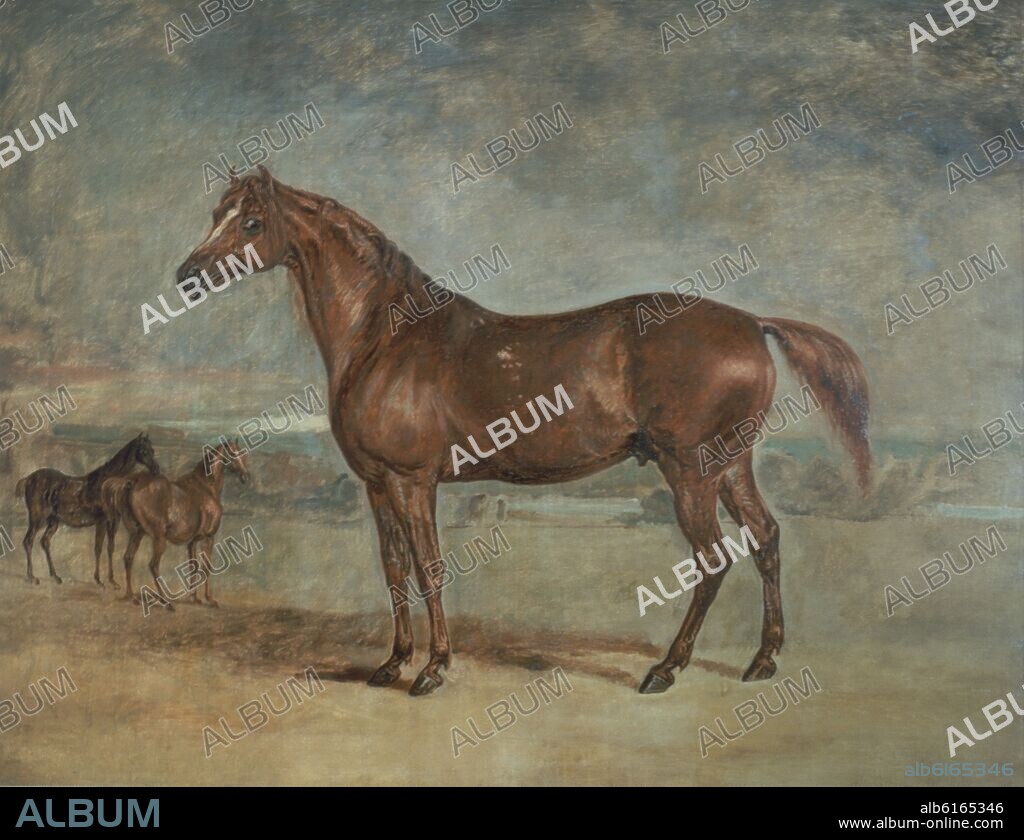 BENJAMIN HAYDON. COPENHAGUEN-CABALLO PROPIEDAD DEL I DUQUE DE  WELLINGTON.