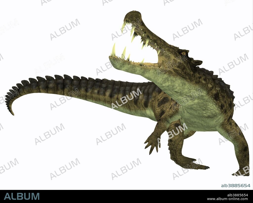 Kaprosuchus is an extinct genus of crocodile from the Upper Cretaceous of Niger, Africa.