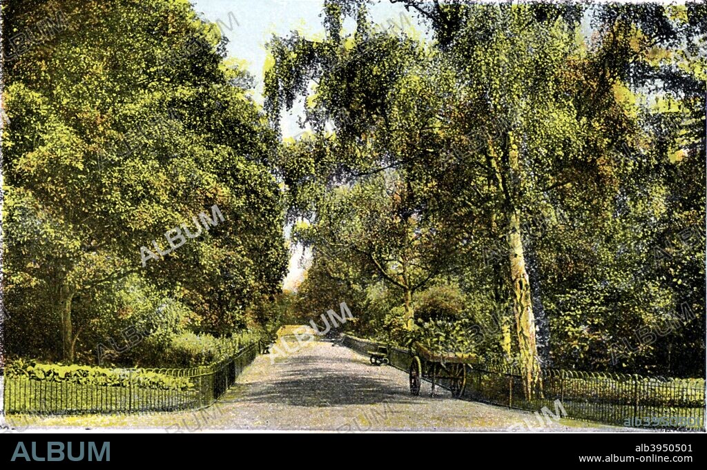 The Flower Walk, Kensington Gardens, London, 20th Century. Adjoining the larger open space of Hyde Park, Kensington Gardens is one of London's Royal Parks. Postcard from The Souvenir Album, Views of London And The River Thames, From London To Oxford, (London, 20th Century).