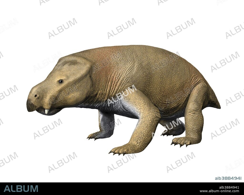 Kannemeyeria simocephalus is a large dicynodont from the Middle Triassic of South Africa.
