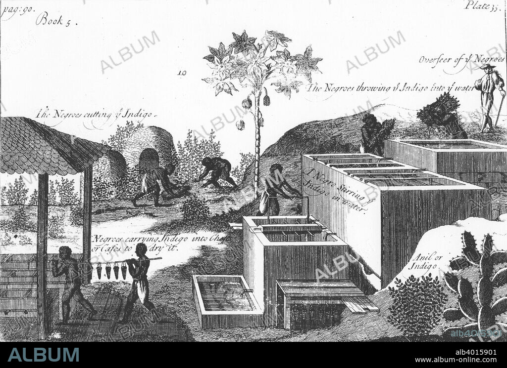 Producing indigo dye with slave labour: West Indies or Central America, 1725. Indigo tinctoria is cut, tied in bundles, steeped in water and fermented in the centre tank. The liquor is drawn off into the bottom tank where it is agitated. The indigo separates out and is allowed to settle and the tank is drained. The residue is removed and put in cases to dry, left. From A Compleat History of Drugs by P Pomet, (London, 1725). First published in French (Paris, 1725).