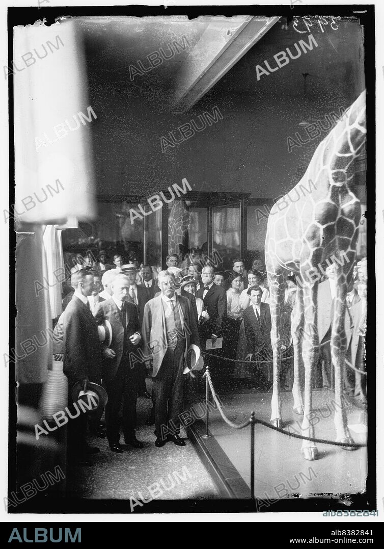 HARRIS & EWING. Theodore Roosevelt at National Museum, between 1914 and 1917. Former US president (third from left) visits taxidermised wildlife display, Washington, D.C. Later renamed the Smithsonian Museum of Natural History, the museum holds Roosevelt's East African flora and fauna specimens collected during the Smithsonian-Roosevelt African Expedition of 1909-10. The expedition collected around 11,400 animal specimens, which took Smithsonian naturalists eight years to catalogue.