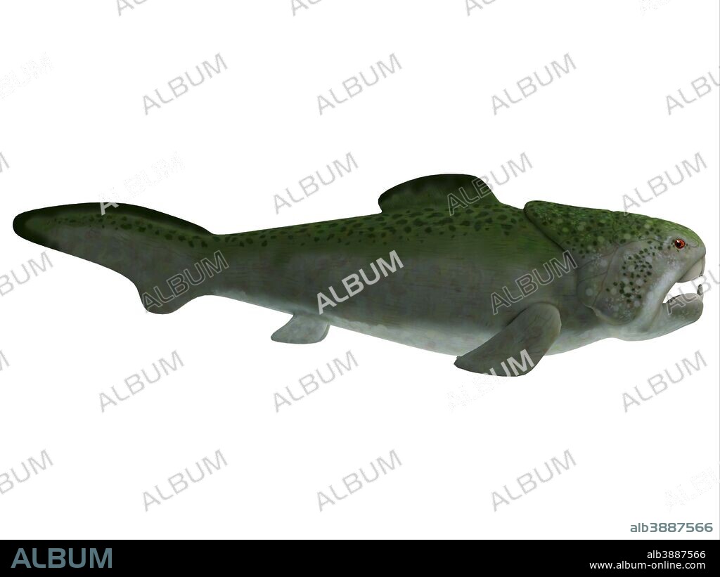 Dunkleosteus is an extinct placoderm fish that lived in seas of North America in the Devonian Period.