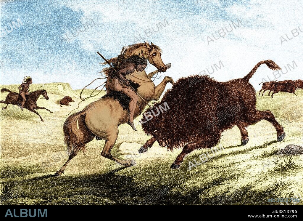Entitled; "American Indian man on horseback killing bison" lithograph designed by Augustus Kollner, 1850s. Although the Plains Indians hunted other animals, such as elk or antelope, bison was the primary game food source. Before their adoption of guns, the Plains Indians hunted with spears, bows and arrows, and various forms of clubs. The use of horses by the Plains Indians made hunting easier giving them the means and speed to stampede or overtake the bison. They reduced the length of their bows to three feet to accommodate their use on horseback. In the summer, many tribes gathered for hunting in one place. The main hunting seasons were fall, summer, and spring. In winter harsh snow and mighty blizzards made it almost impossible to kill the bison.